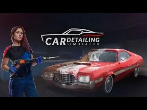 I BROKE CAR DETAILING SIM? DEMO